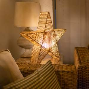 Christmas Floor Lamp Brown 60cm Incl. LED IP54 Rechargeable - Sisine