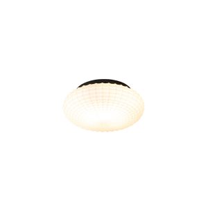 Classic Ceiling Light Black with Opal Glass 23 cm IP44 - Nohmi