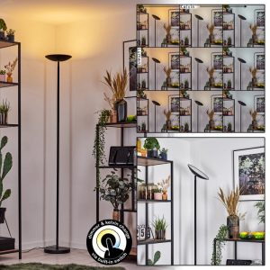 Dillingby floor lamp LED black, 1-light source