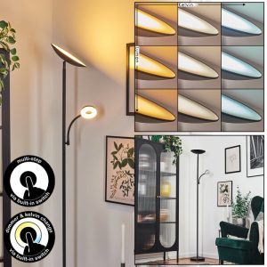 Dillingby floor lamp LED black, 2-light sources