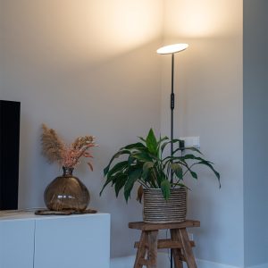 Floor Lamp Black Incl. LED with Remote Control - Bumu