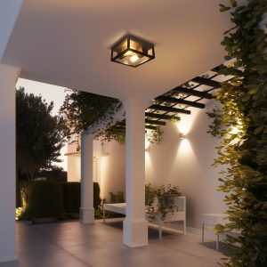 Industrial Ceiling Light Black IP44 2-Light - Charlois