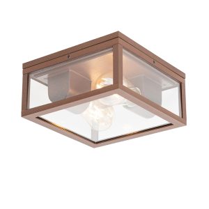 Industrial Ceiling Light Rust Brown IP44 2-Light - Charlois