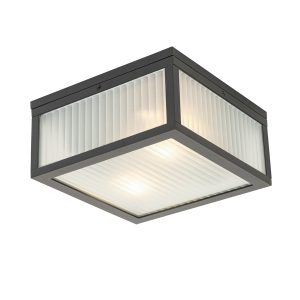 Outdoor Ceiling Light Black with Ribbed Glass 2-Light IP44 - Charlois