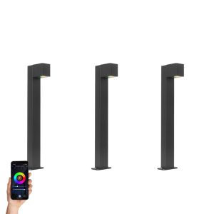 Set of 3 Smart Outdoor Standing Lamps Black 65cm IP44 - Baleno