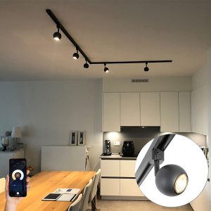 Smart 1-Phase Track Lighting System Incl. 5 Wifi GU10 Black - Iconic Gissi