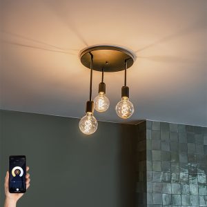 Smart Ceiling Light Black Incl. 3 Wifi G95 - Facil