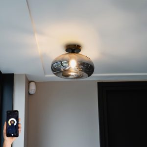 Smart Ceiling Light Black with Smoke Glass Incl. Wifi P45 - Busa