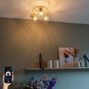 Smart Spotlight Brass rotatable and tiltable incl. 3 Wifi P45 - Mosh