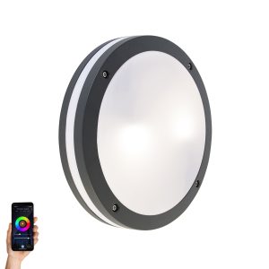 Smart Wall and Ceiling Light Dark Grey Incl. Wifi A60 - Glow