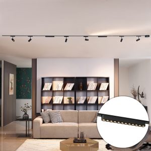 Track Lighting System with 6 Spotlights and 2 Ceiling Lights Black 1-Phase - Magnetic Gert Puntua