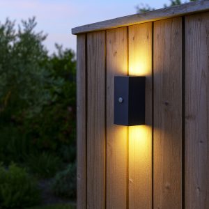 Wall Light Black 2-Light IP44 with Motion Sensor - Baleno